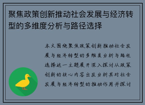 聚焦政策创新推动社会发展与经济转型的多维度分析与路径选择